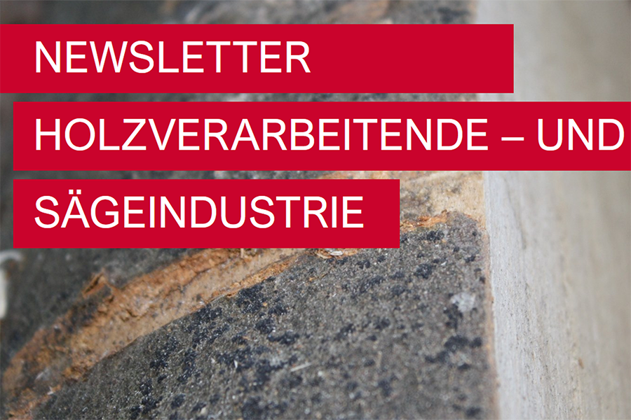 Newsletter #2 2025